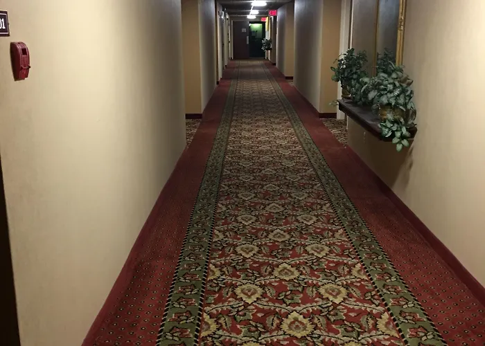 Hotel Sun 2*